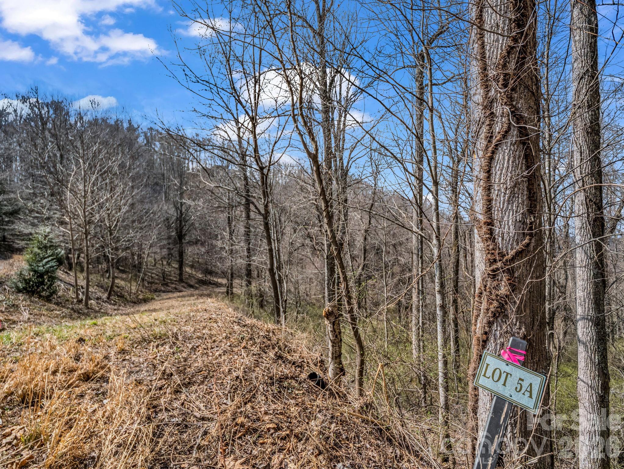 Land in Asheville 3