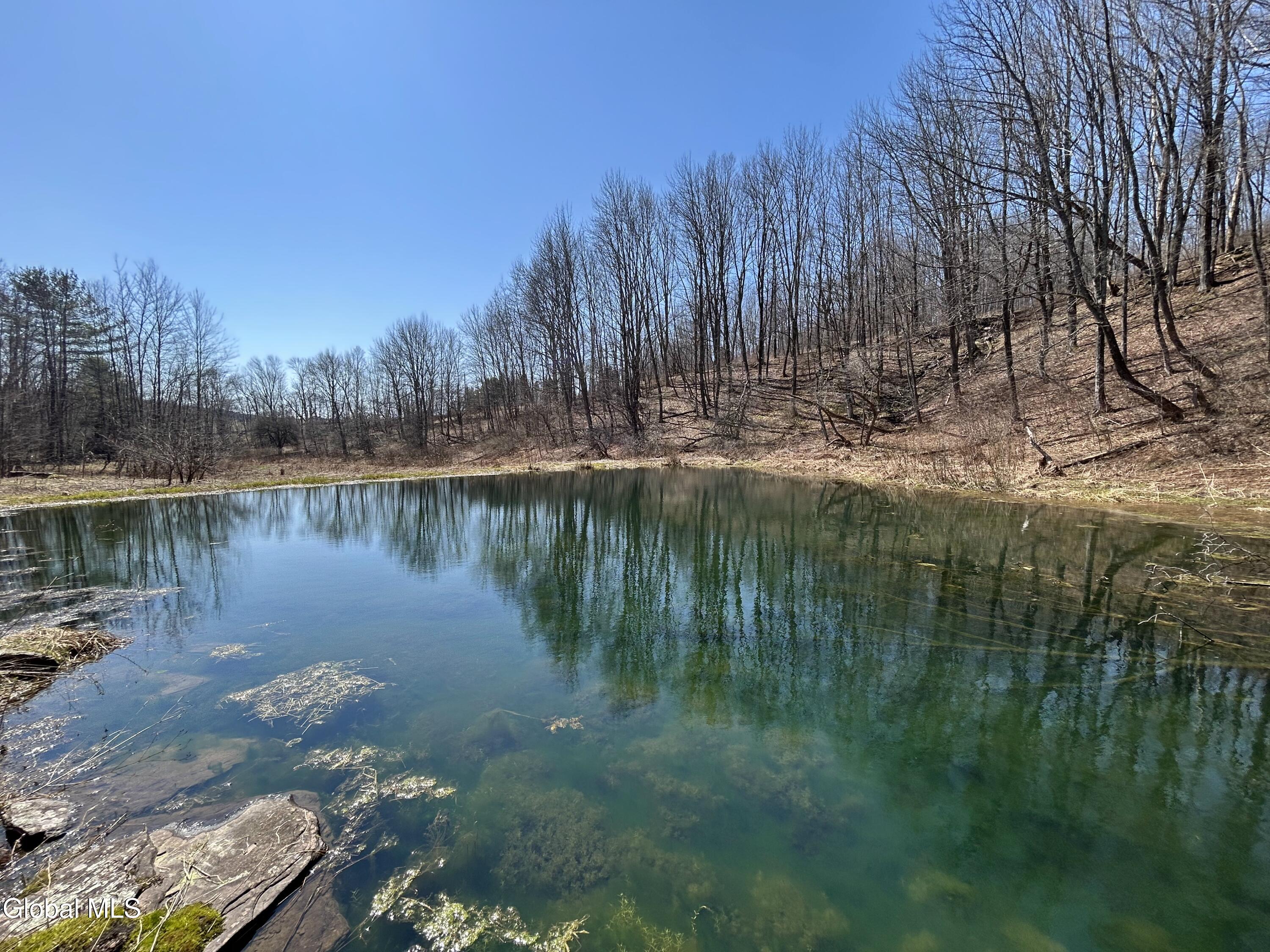 Land in Jefferson 4
