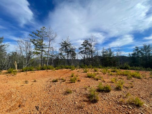 36 Bullet Mountain Dr, Tellico Plains, TN, 37385 | Card Image