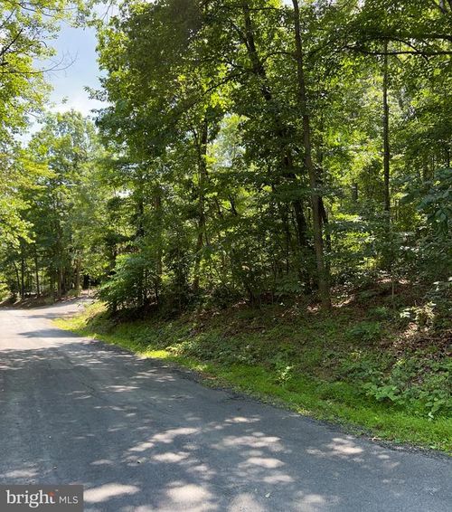 TBD Willow Ln, MOUNT JACKSON, VA, 22842 | Card Image
