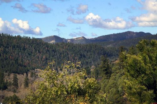 2519 County Road 335, Pagosa Springs, CO, 81147-0228 | Card Image