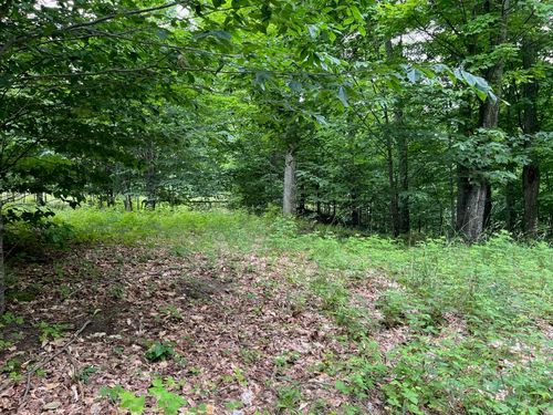 11 W Timberview Trl, Empire, MI, 49630 | Card Image