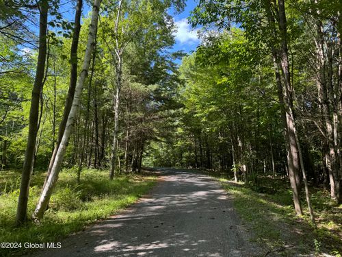 564 Valley Woods Rd, Bolton Landing, NY, 12814-3410 | Card Image