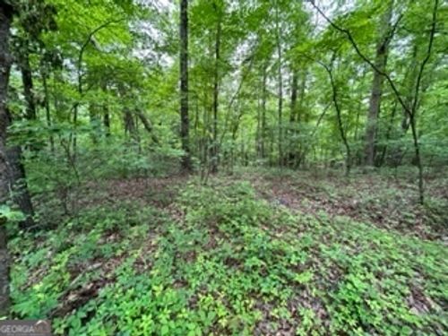 LT 34&35 Cherokee Trl, Mc Caysville, GA, 30555 | Card Image