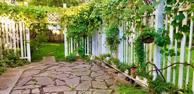 The backyard is a lovely refreshing retreat in the summer when everything is in bloom! | Image 22