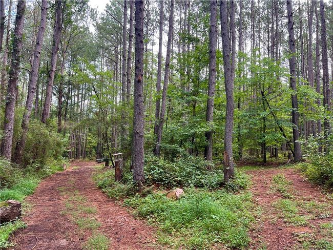 0 N Old Pendleton Rd, Home with 0 bedrooms, 0 bathrooms and null parking in Easley SC | Image 4