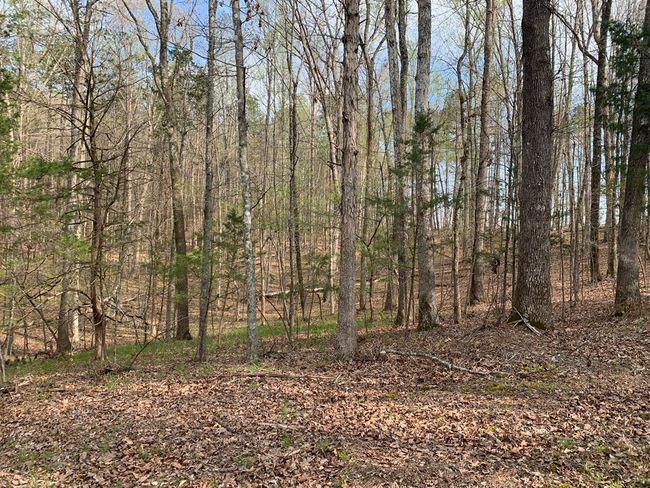 3071 Jones Ferry Rd, House other with 3 bedrooms, 2 bathrooms and null parking in Halifax VA | Image 4
