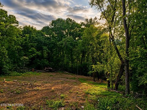 147 Stephens Rd, Rocky Top, TN, 37769-6112 | Card Image