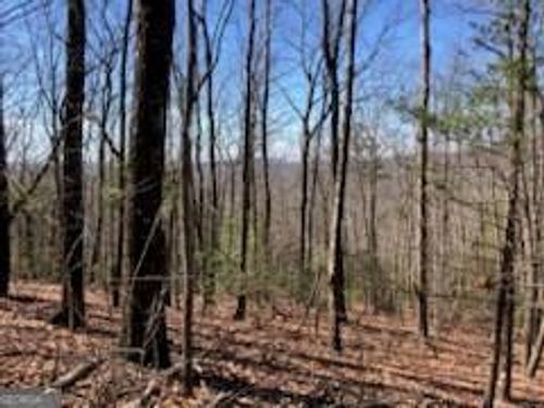 965 Old Parker Ter, Ellijay, GA, 30536 | Card Image