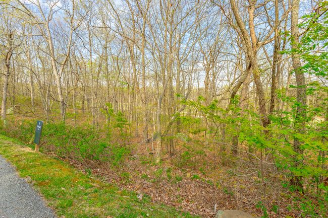 0 Old Rockey Trl, Home with 0 bedrooms, 0 bathrooms and null parking in Rising Fawn GA | Image 7