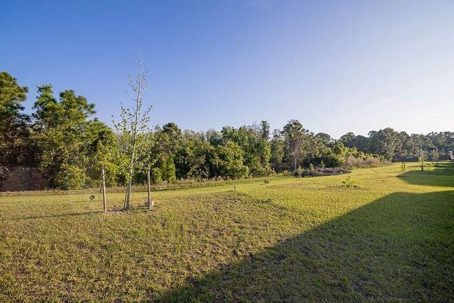 2937 Hooded Crane Cv, House other with 4 bedrooms, 4 bathrooms and null parking in HARMONY FL | Image 28