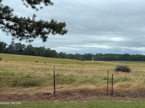 1120 Pleasant Ridge Rd, Finger, TN, 38334-1978 | Card Image