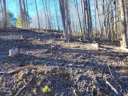 Tbd Muskrat Ramble Rd, Mountain City, TN, 37683 | Card Image