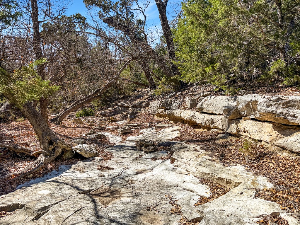 Land in Kerrville 3