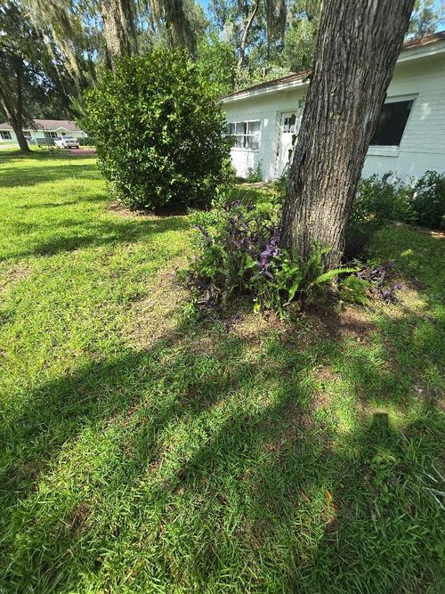 3501 Nw 17th Ter, GAINESVILLE, FL, 32605-2525 | Card Image