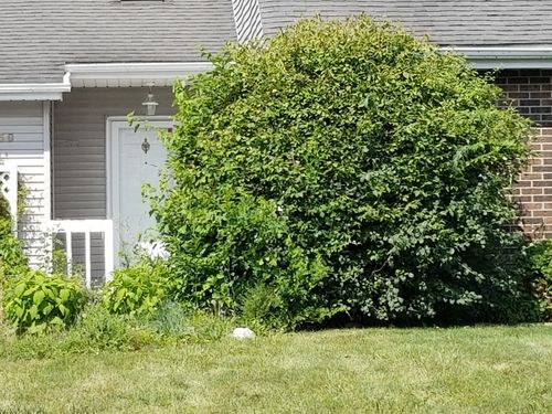 450 Tanglewood Dr, Gurnee, IL, 60031-3473 | Card Image