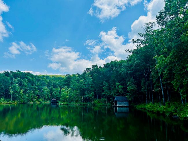 0 Still Creek Rd, Home with 0 bedrooms, 0 bathrooms and null parking in Rising Fawn GA | Image 7