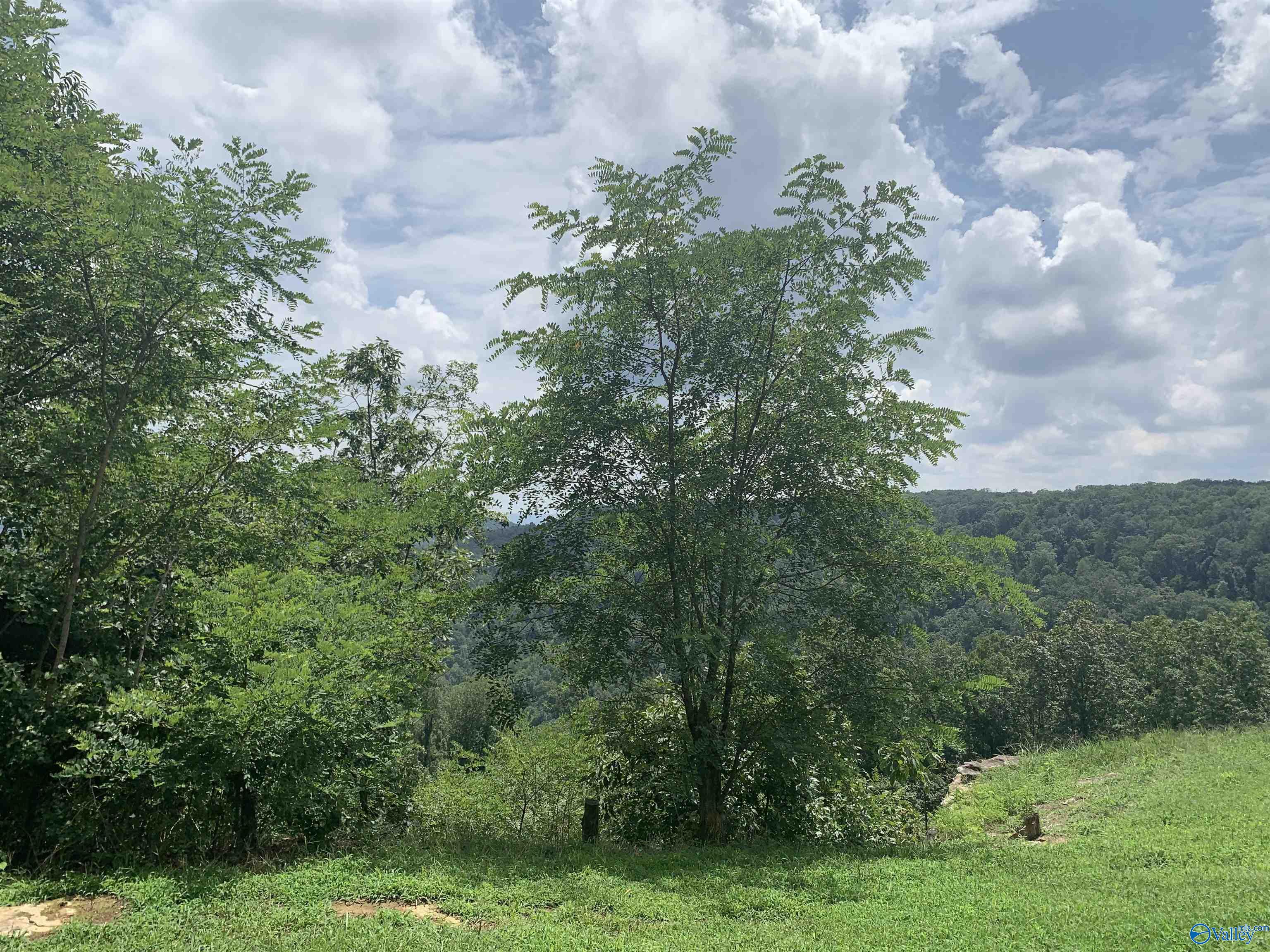 Gizzard Point Rd, Scottsboro, AL 35768 #1