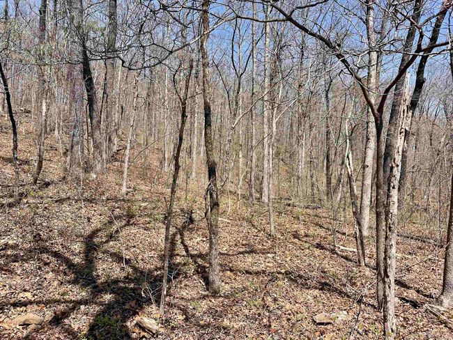000 Dabney Rd, Home with 0 bedrooms, 0 bathrooms and null parking in Jerusalem AR | Image 8