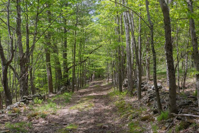 14 - 1214 Armstrong Rd, House other with 7 bedrooms, 4 bathrooms and null parking in Arkville NY | Image 28