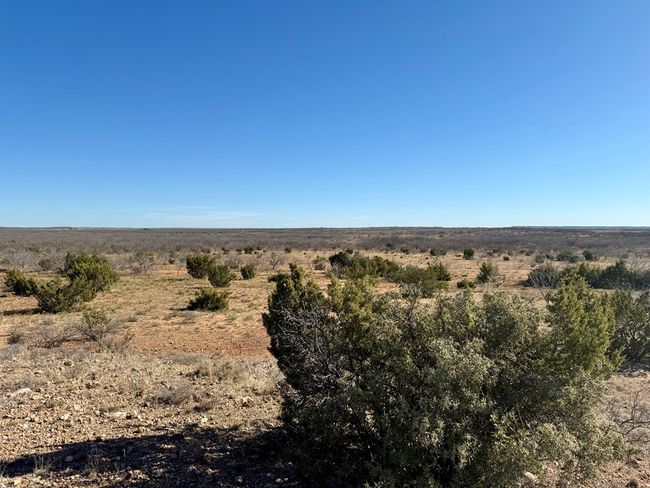 00 W Hwy 158, Home with 0 bedrooms, 0 bathrooms and null parking in Bronte TX | Image 21