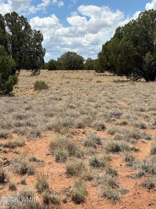 15 Pine Drive, Concho, AZ, 85924 | Card Image