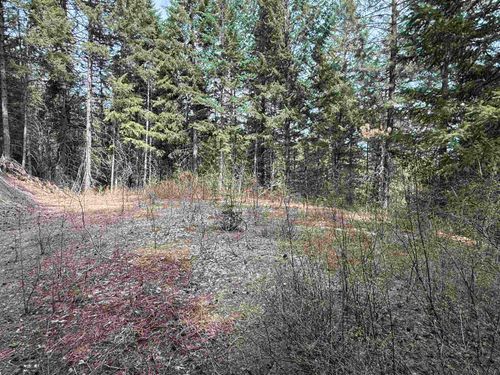 NNA Buck Creek Rd, Loon Lake, WA, 99148 | Card Image