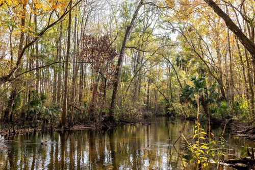  Cr 326, Gulf Hammock, FL, 32639 | Card Image