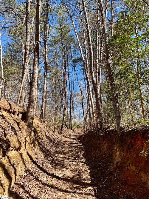 00 Landrum Creek Rd, Marietta, SC, 29661 | Card Image