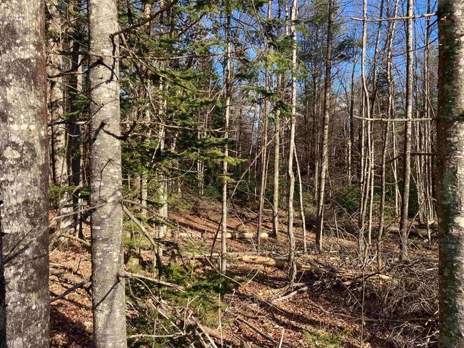 lot 5 Nh Route 4a, Home with 0 bedrooms, 0 bathrooms and null parking in Grafton NH | Image 23