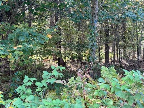 Lot 2 Back Ridge Road, Orland, ME, 04472 | Card Image