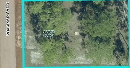 Land in Lehigh Acres