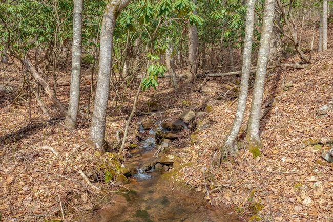 Lot12/14 Lake Forest Lane, Home with 0 bedrooms, 0 bathrooms and null parking in Bland VA | Image 5