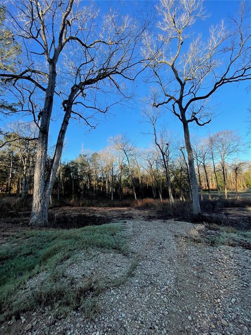 11357 Annie Creek Drive, Willis, TX, 77378 | Card Image