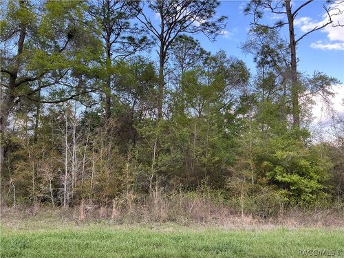 8749 Upland Dr, Citrus Springs, FL, 34434-4868 | Card Image