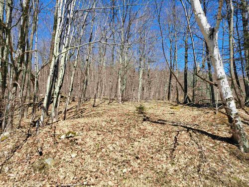 2351 Cram Hill Rd, Roxbury, VT, 05669-9867 | Card Image