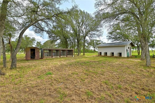 Dog kennel and whelping house | Image 36