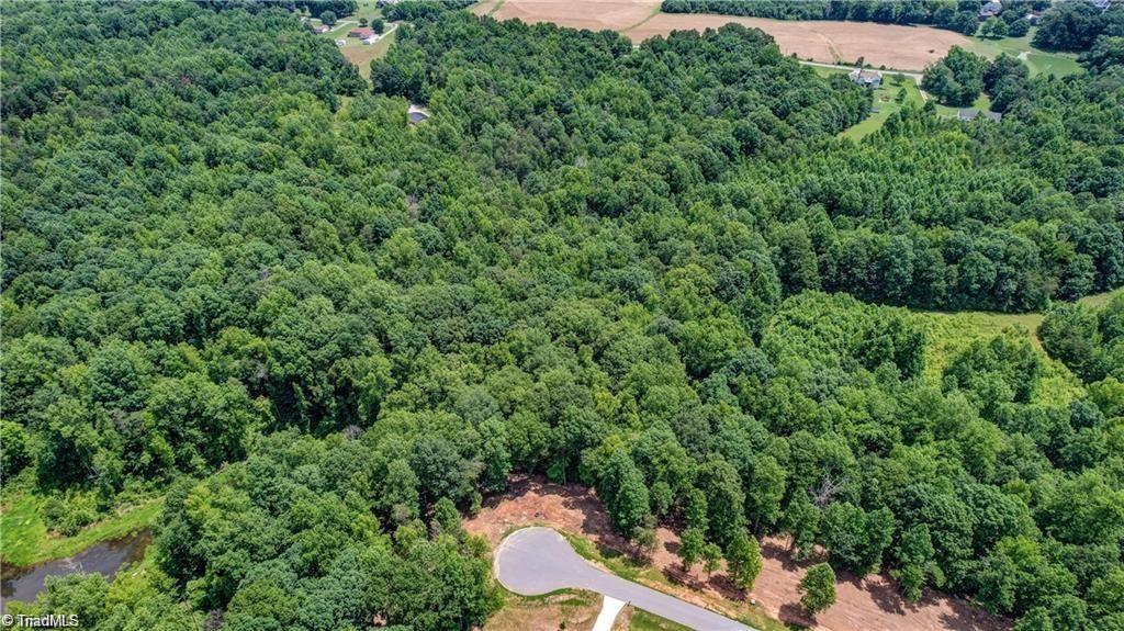 Land in Browns Summit 3