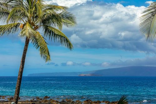 613-2936 S Kihei Rd, Kihei, HI, 96753-9602 | Card Image