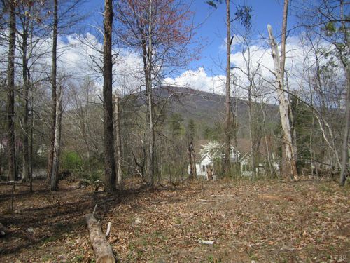 5 Logan Pl, NELLYSFORD, VA, 22958-9603 | Card Image