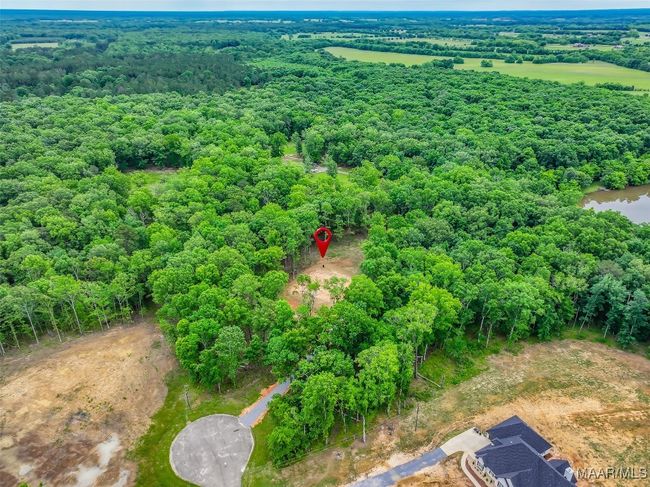 181 Hickory Hollow Ln, Home with 0 bedrooms, 0 bathrooms and null parking in Cecil AL | Image 9