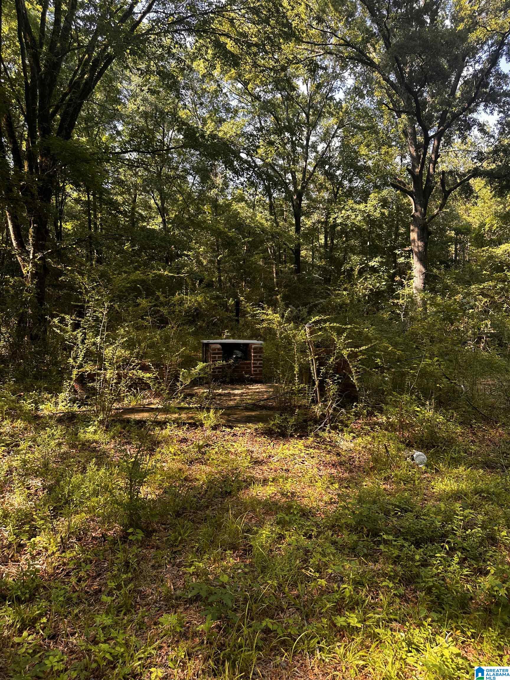 Land in COLUMBIANA 4