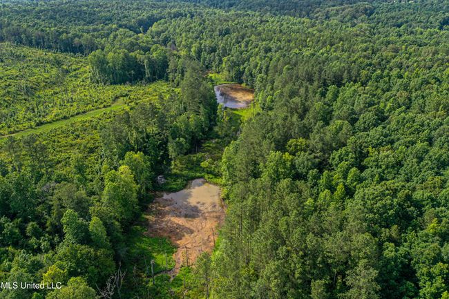 DJI_0251 | Image 29