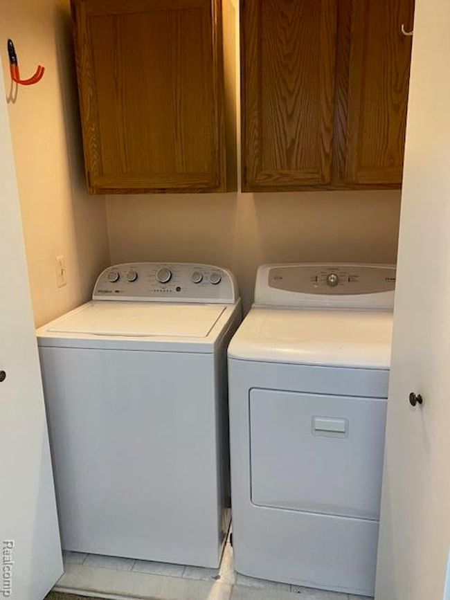 IMG_3747.jpg | Image 31