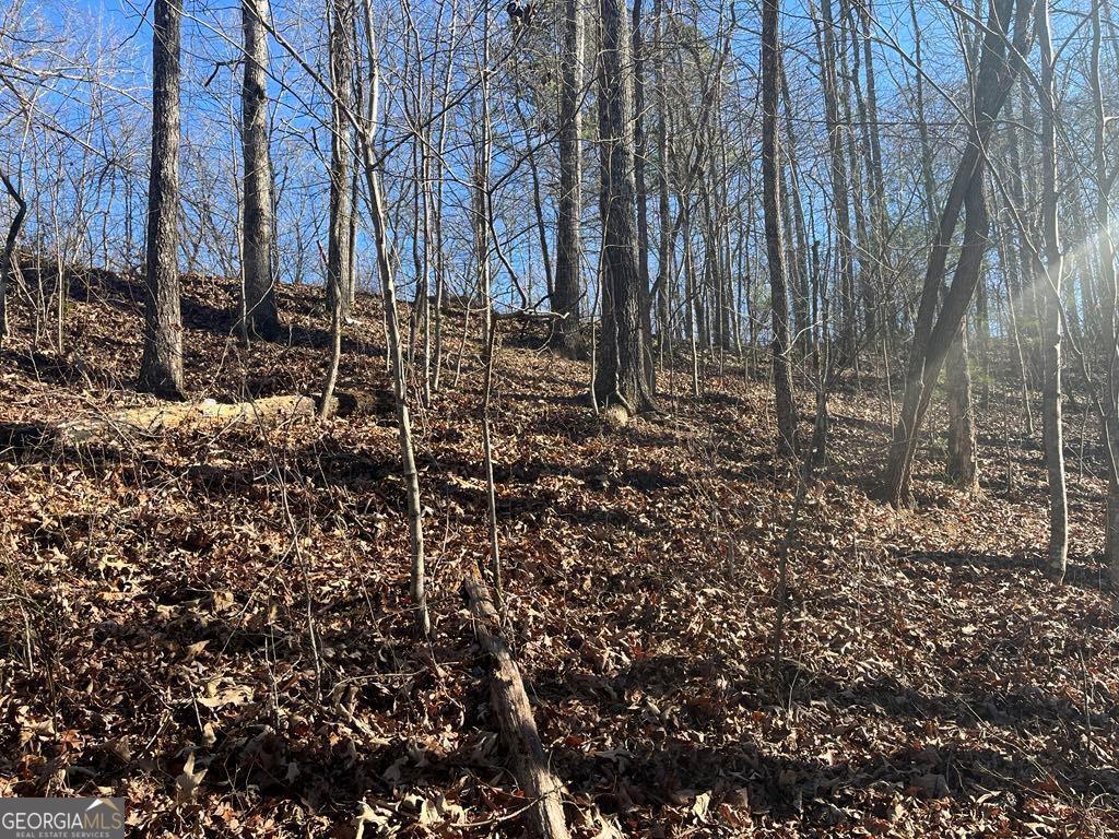 Land in Talking Rock 5