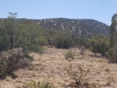 190 County Road A052, Estancia, NM, 87016-7908 | Card Image