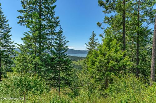 NNA T1-A Green Monarch Ln, Sandpoint, ID, 83864 | Card Image