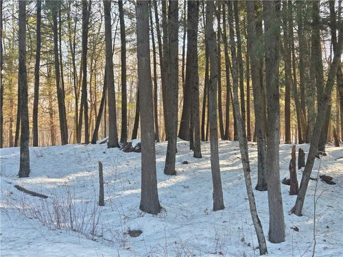 15089 367th St, Stanley, WI, 54768-5003 | Card Image