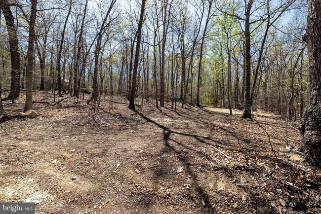 309 Wildwood Ln, Home with 0 bedrooms, 0 bathrooms and null parking in SHENANDOAH VA | Image 4