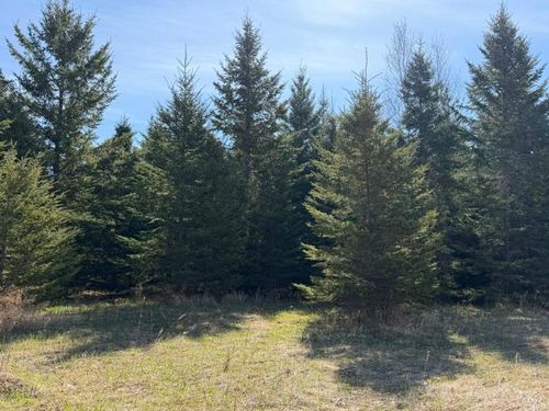 TBD 66th Ave Ne, Remer, MN, 56672 | Card Image